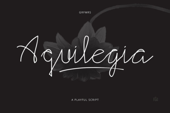 Aquilegia: A Graceful Script for Elegant Projects